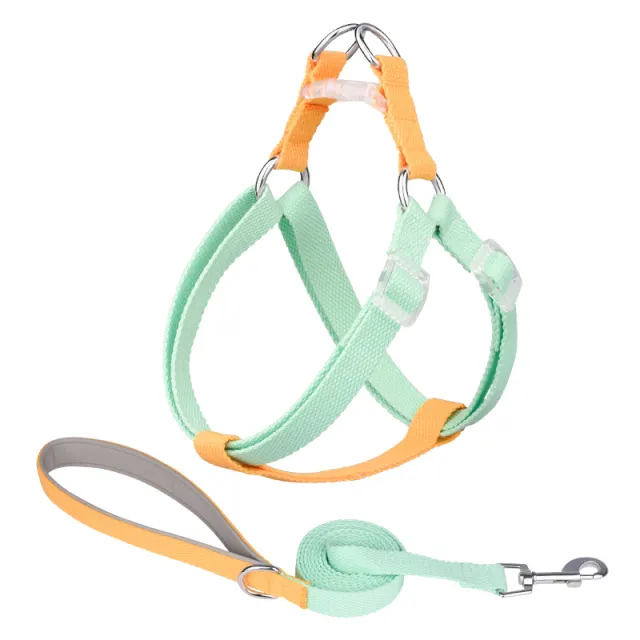 Macaron Traction Dog Rope Small And Medium Sized Pets Set Green Yellow - Shop at LoveMi