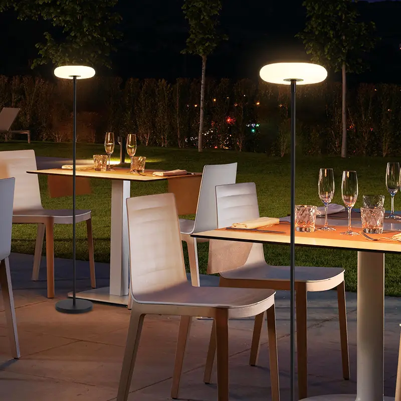 Outdoor Waterproof Solar Lawn Light