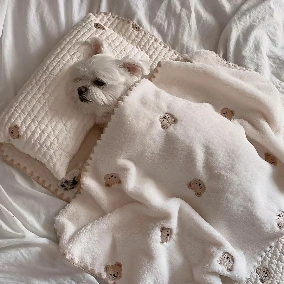 Fashion Square Mat Removable And Washable Dog