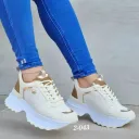 Apricot