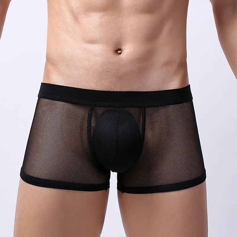Men's Underwear Mesh Breathable Boxers Low Waist