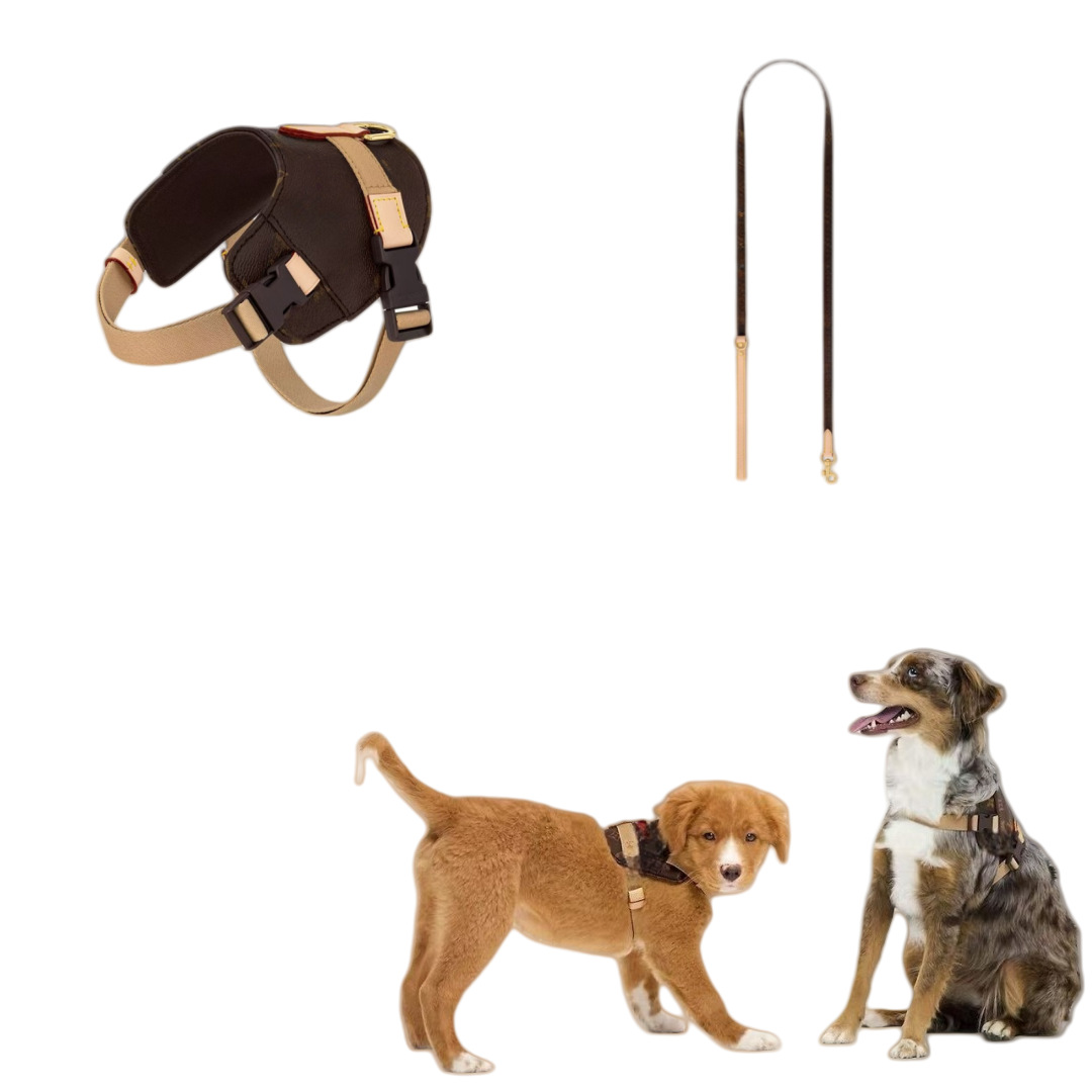 Street-style Fashion Pet Harness