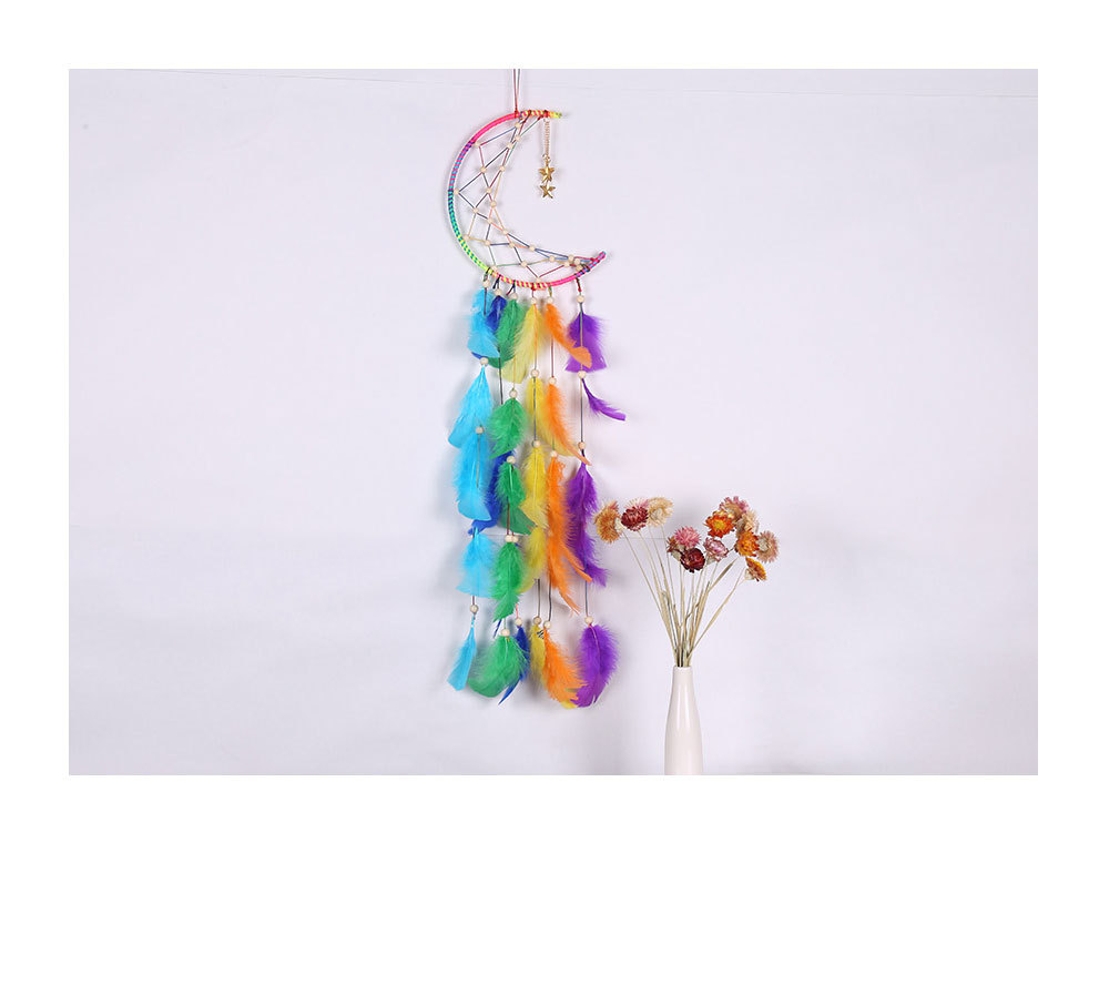 Title 2, Creative Style Ornaments Colorful Moon Feather ...