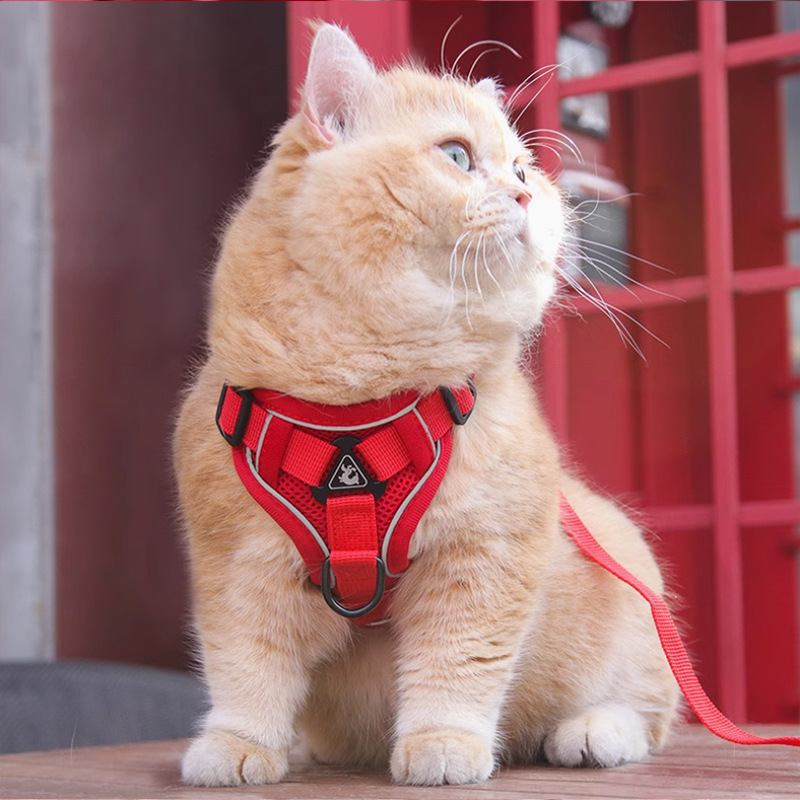 New Cat Harness Vest Pet Chest Strap With Leash