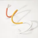 Everything Orange