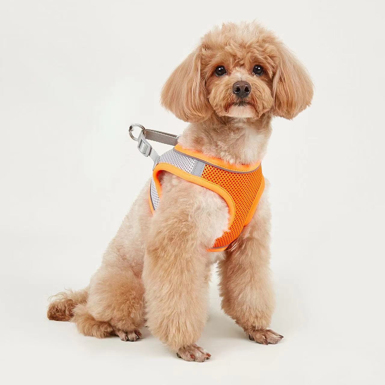 Title 10, Dog Hand Holding Rope Vest Small Dog Dog Leash ...