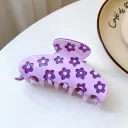 Purple Daisy