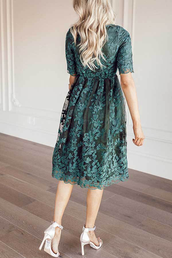 Lace Embroidered A-Line Dress
