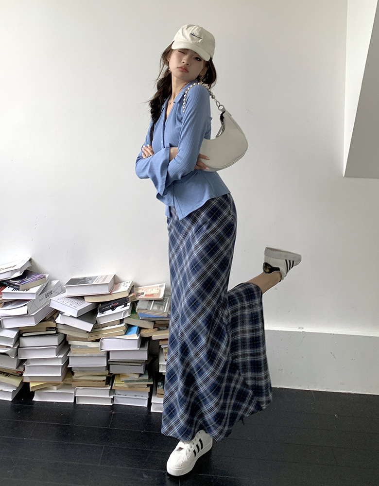 Blue Plaid Skirt