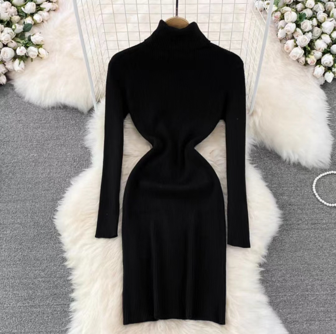 Korean Style Long Sleeve Turtleneck Dress Sweater
