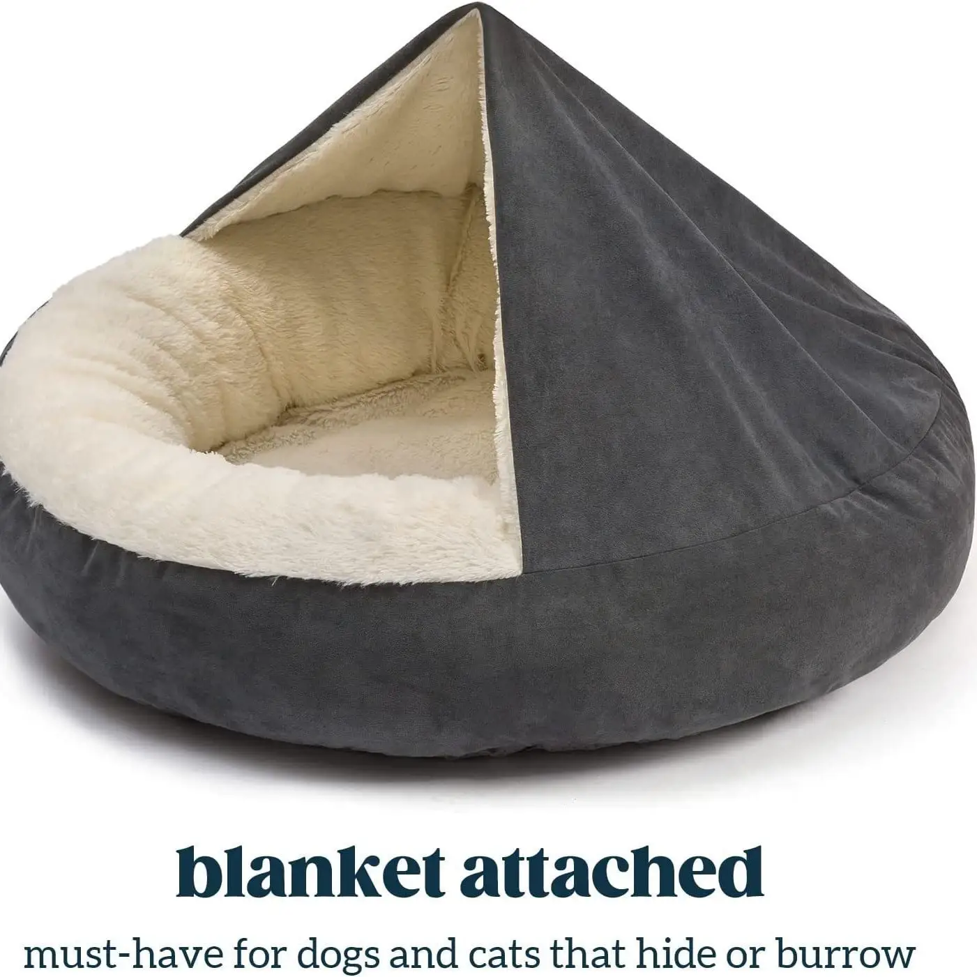 Pet Bed Teddy Small And Medium Dogs Mat