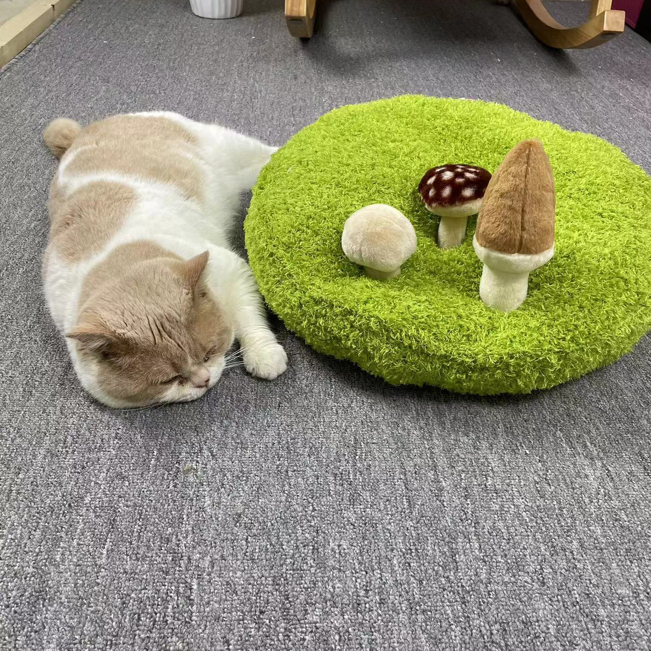 Pet Mat Cat Bed Small Dog And Cat Sleeping Nest