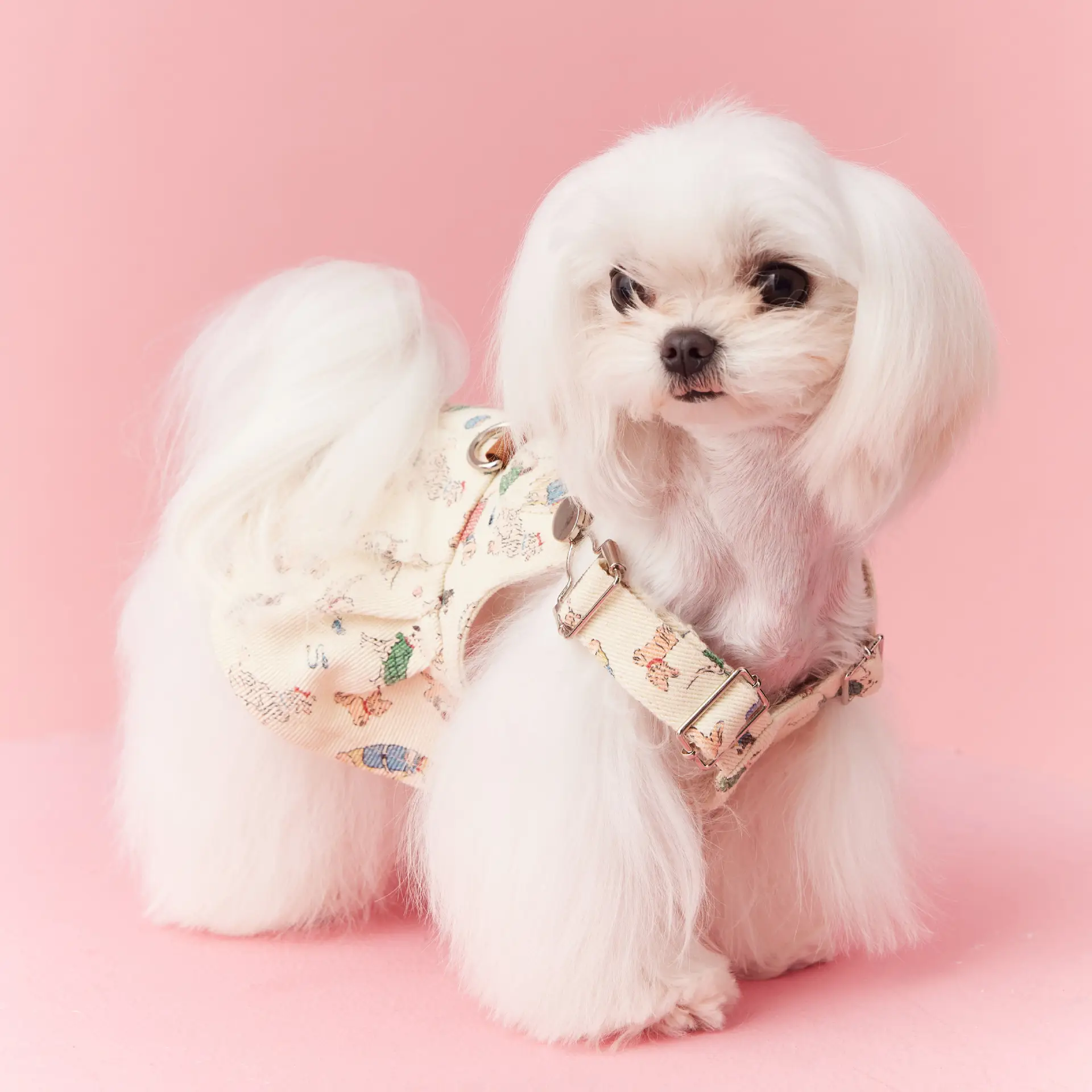 Teddy Schnauzer Maltese Small Dog Denim Suspender Skirt
