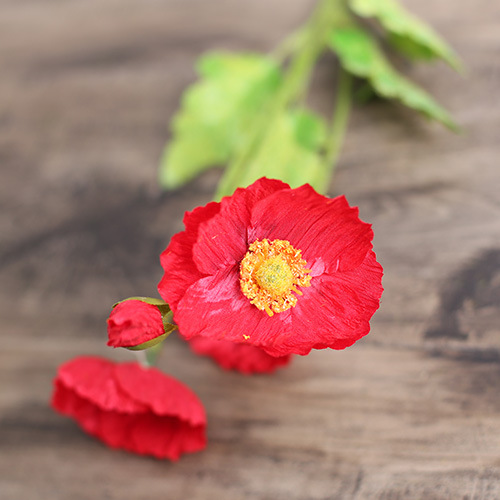 3 Flowers 1 Lace Red