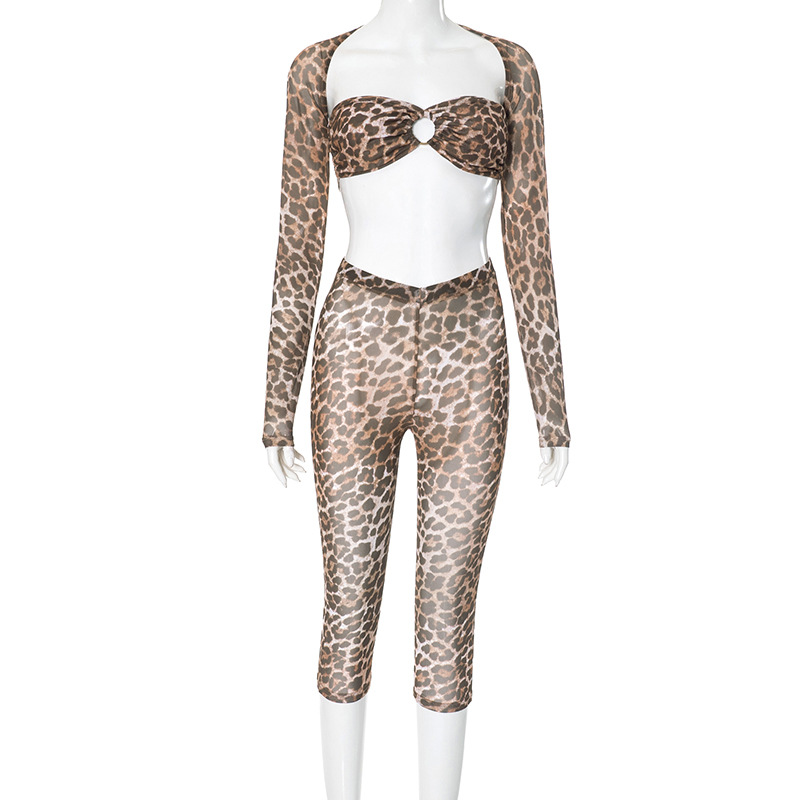Leopard Print Mesh Floral Print Long Sleeve Shawl See through Sexy Suit Leopard - Shop at LoveMi