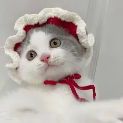 Pet Hood Cat Dog Knitted Hat Prop Headdress - Red And White Edge - View 1