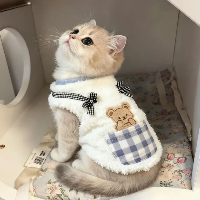 Cat Clothes Autumn And Winter Style Anti shedding Warm Fleece Clothing Blue Bear - Shop at LoveMi