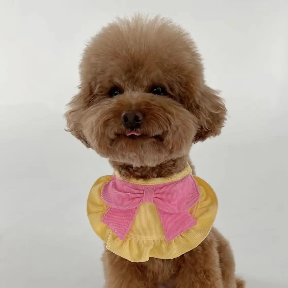 Cute Butterfly Dog Bib Pet