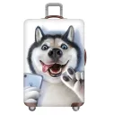 Selfie Husky