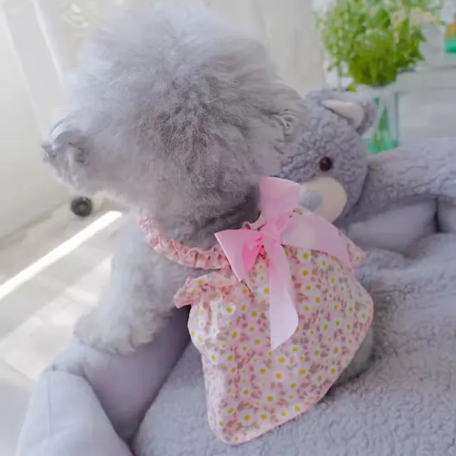 Pet Fashion Spring And Summer Strap Dress Pink Pattern - Shop at LoveMi