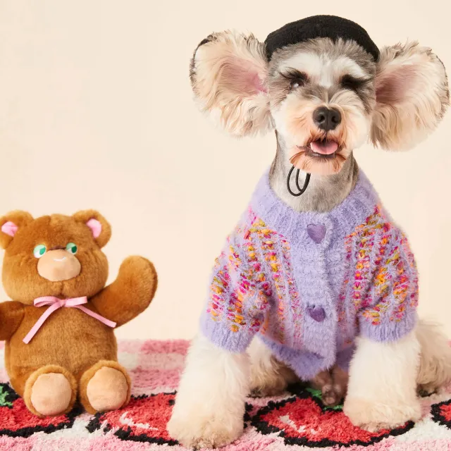 Autumn And Winter Female Dog Colorized Sweater Pet Cardigan Purple Cardigan - Shop at LoveMi