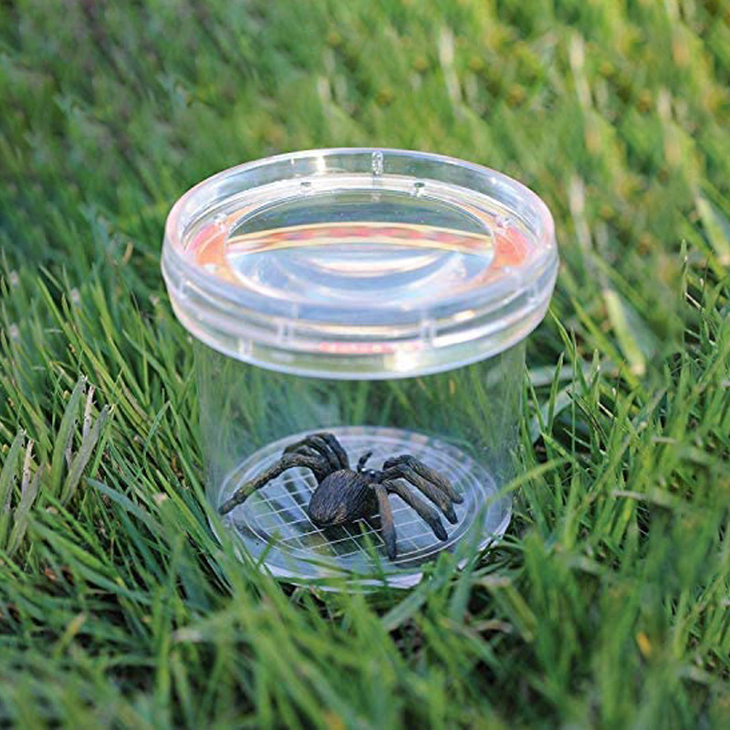 Insect magnifying glass viewer jar (color box packaging)