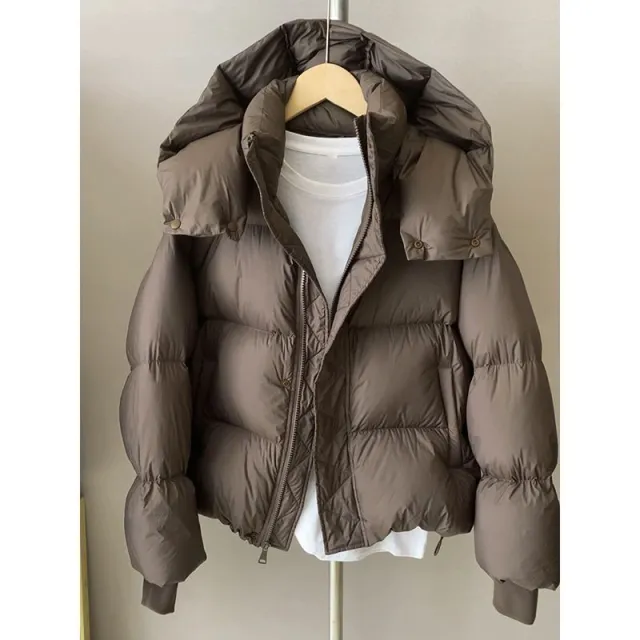 Thick Loose Down Cotton padded Jacket Brown - Shop at LoveMi