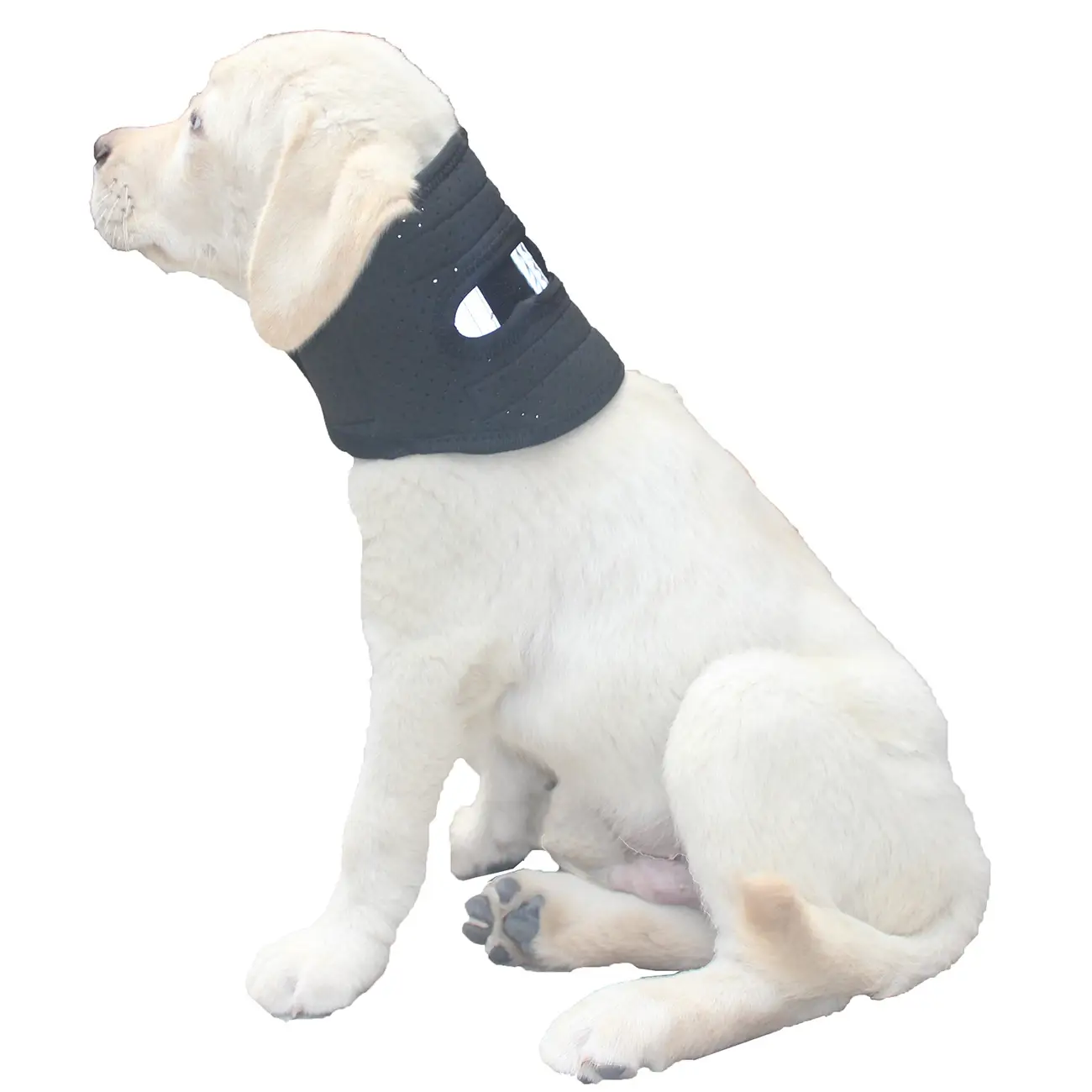 Adjustable Pet Collar For Post surgery Stability And Protection Against Neck Sprains