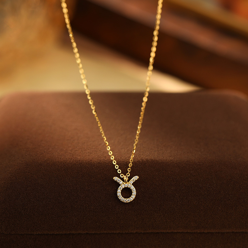 Silver Twelve Constellations Necklace Clavicle Chain Neck Chain