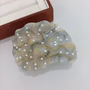 Blue Conch