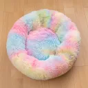 Colorful Pink