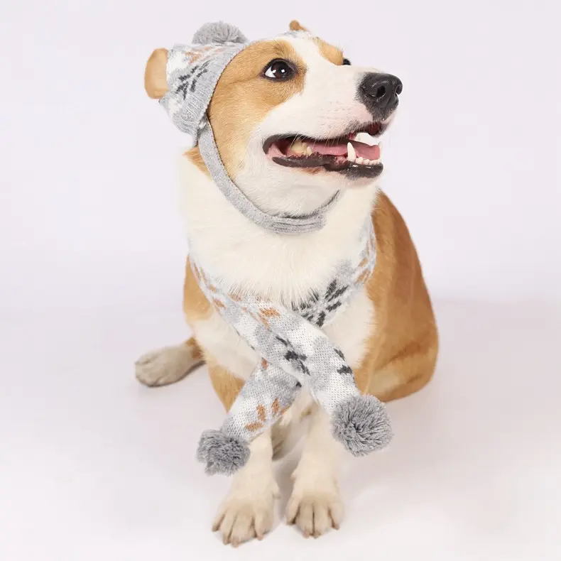 Japanese-style Retro Jacquard Sweet Western Style Pet