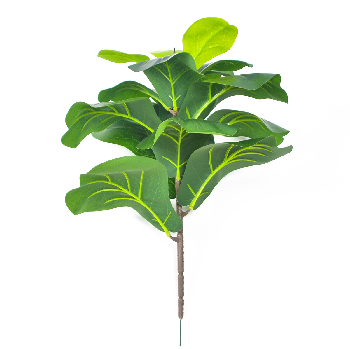 40cm Single Stem Ficus Lyrata