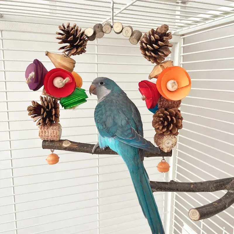 Parrot Swing Pine Nut Grinding Mouth Claw
