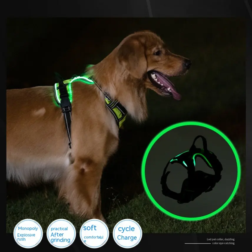 New LED Pet Luminous Night Walking Dog