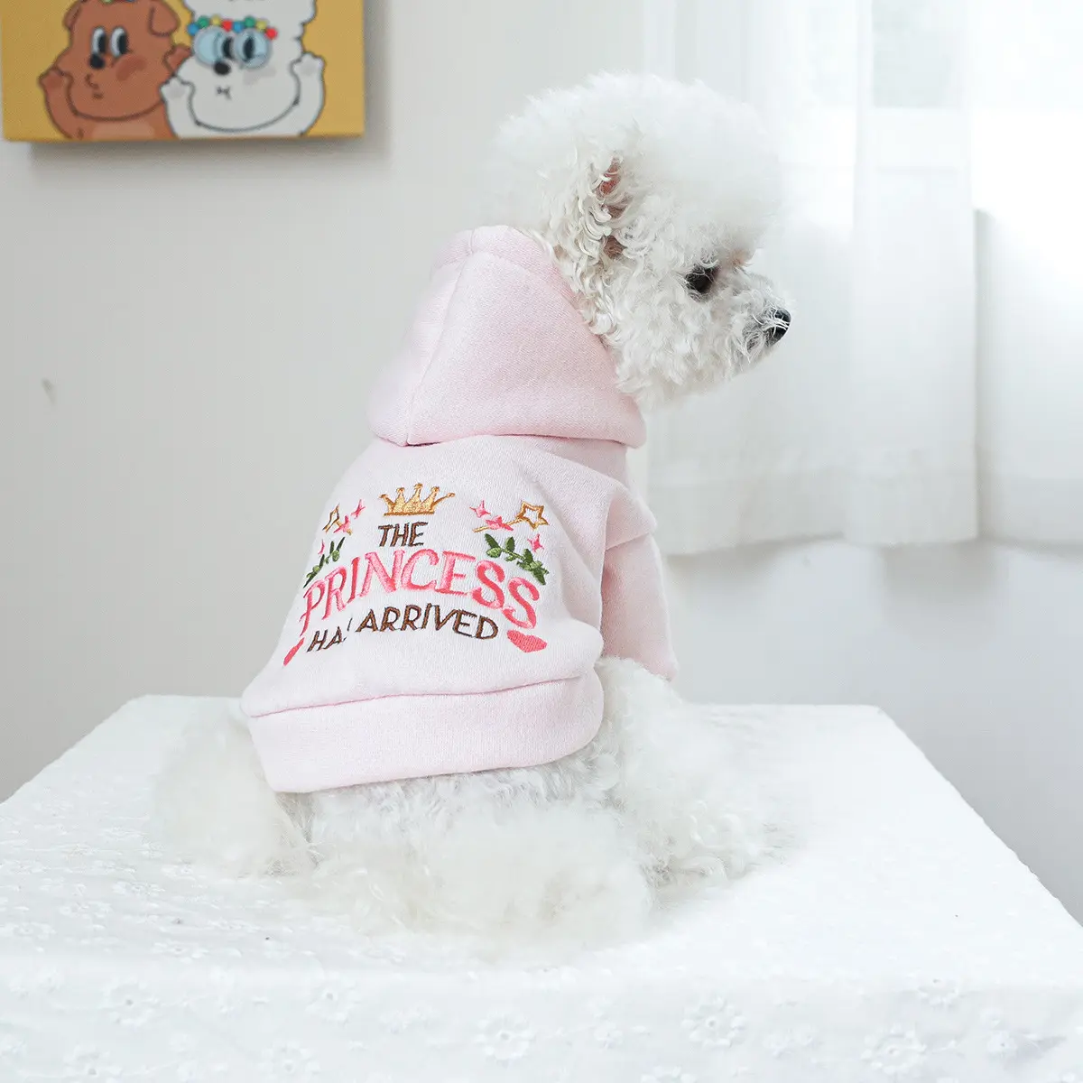 Pet Clothes Dog Cat Hooded Little Princess