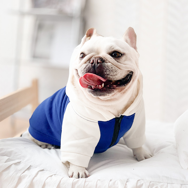 Royal Blue White Hoodie