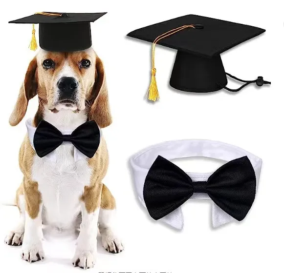 Dog Tassel Doctorial Hat Party Supplies Pet Hat Doctorial Hat Bow Tie No 2 - Shop at LoveMi