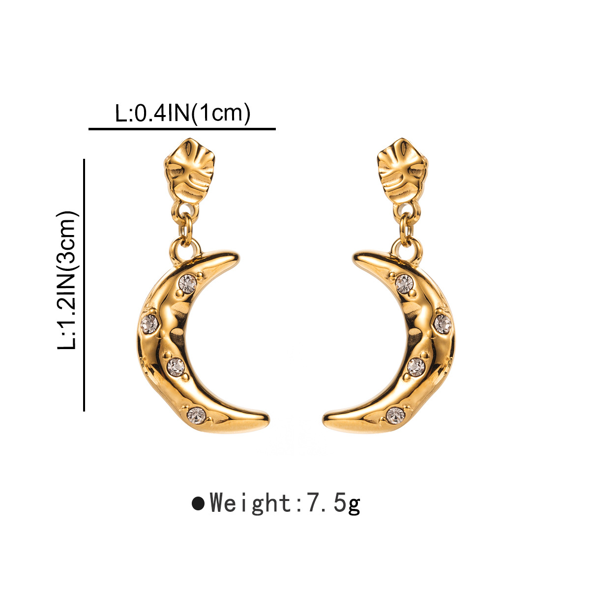 Women's Stainless Steel Eardrops