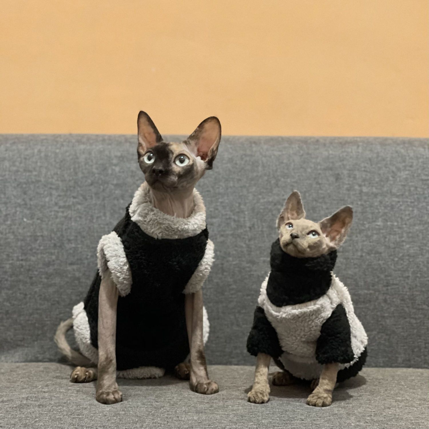 Winter Furless Cat Stretchy Fleece-Lined Thickened Warm Soft Sphinx Devon Rex Cat Clothes