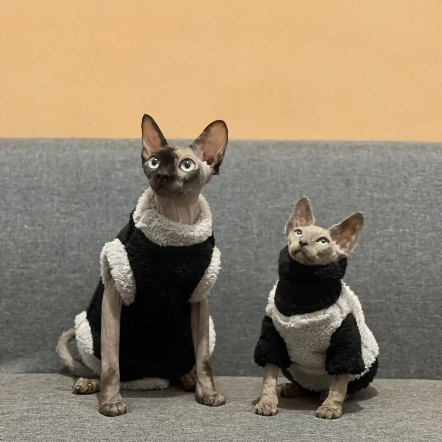 Winter Furless Cat Stretchy Fleece-Lined Thickened Warm