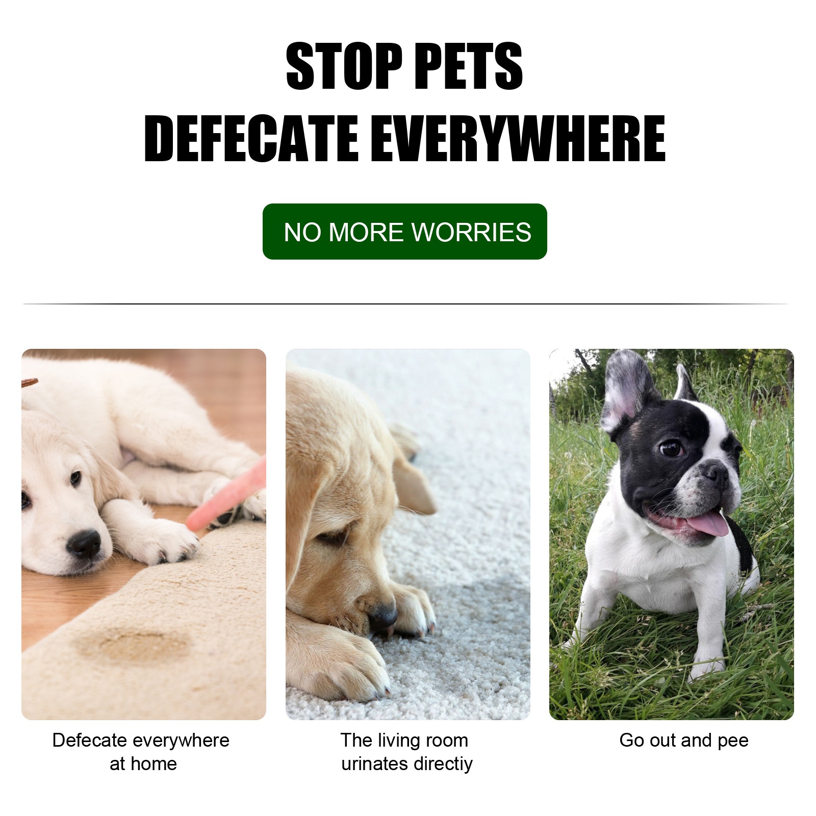 Pet Targeted Defecation Inducer Auxiliary Training Pet Urine Targeted ...