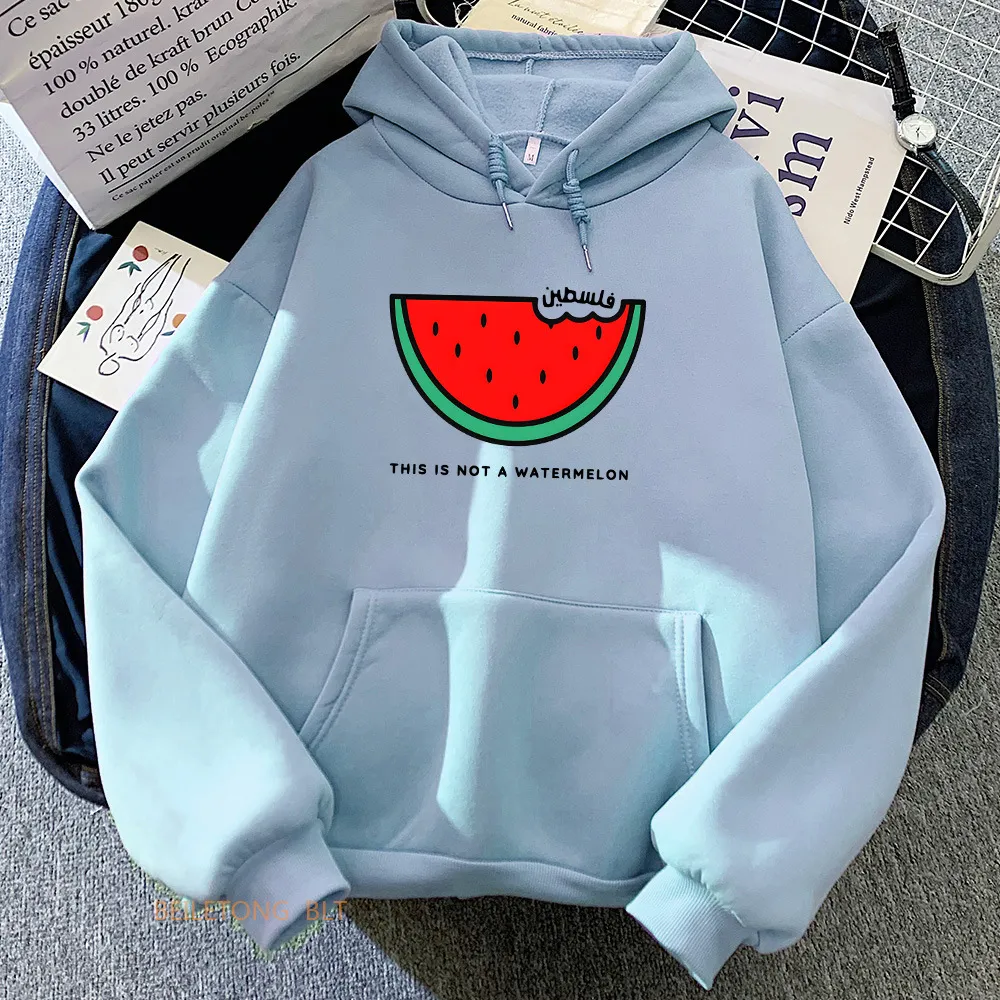 Long-sleeved Sweater Kawaii Hoodie Winter Casual - Blue