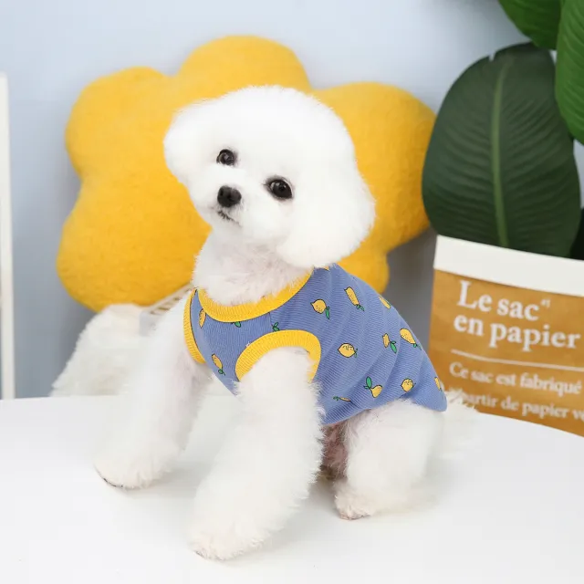 Pet Clothes Spring And Summer Puppy Lemon Vest Grey Blue - Shop at LoveMi