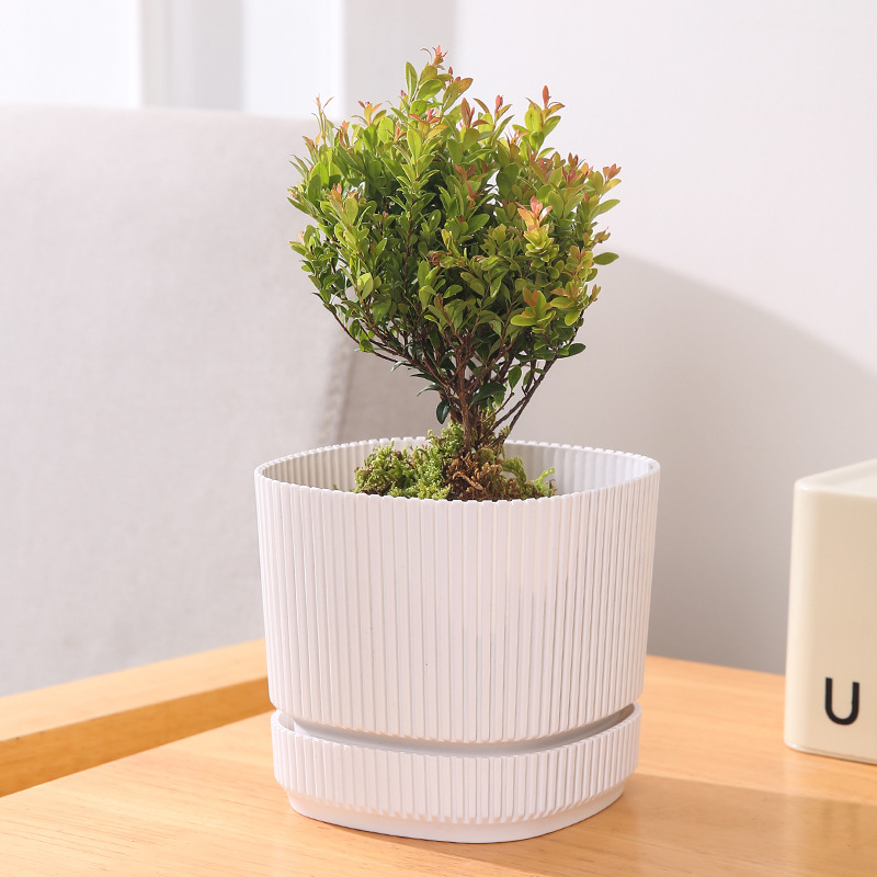 Large-capacity Flower Pot For The Balcony