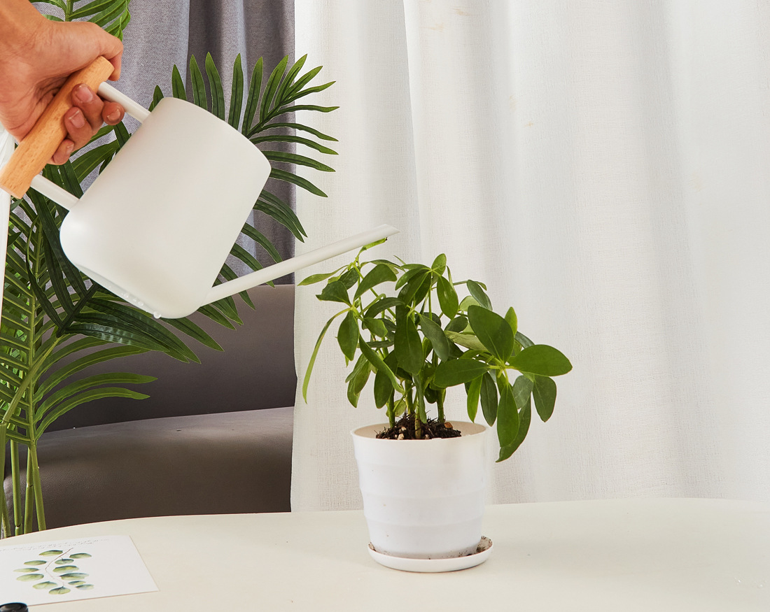 Stainless Steel Long Mouth Watering Kettle