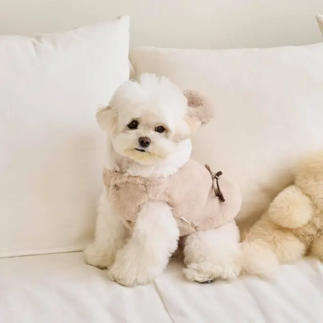 Dog Cat Warm Coat Pet Costume Pet Clothes Light Coffee - Shop at LoveMi