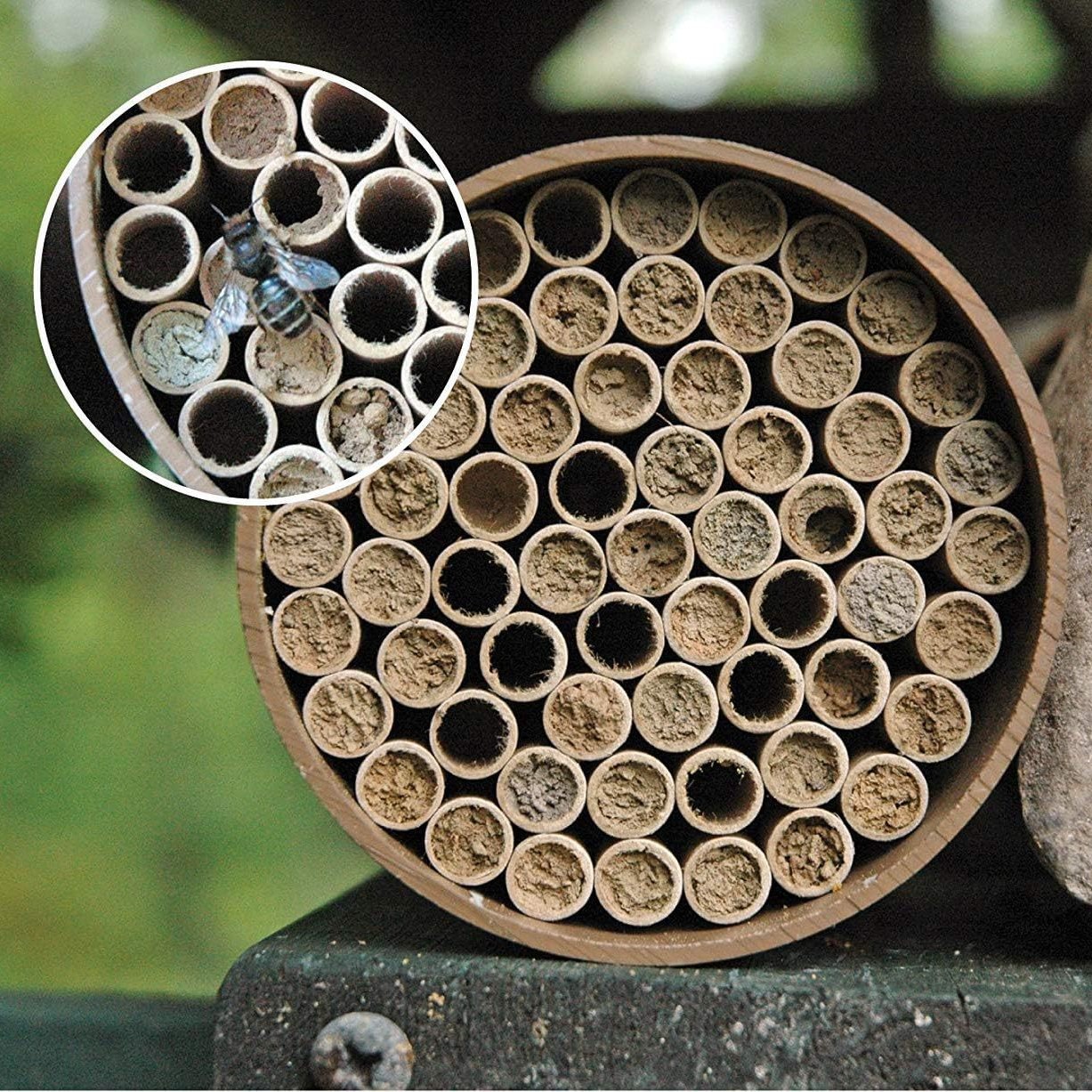 Creative DIY Hotel Beekeeping Nest Building