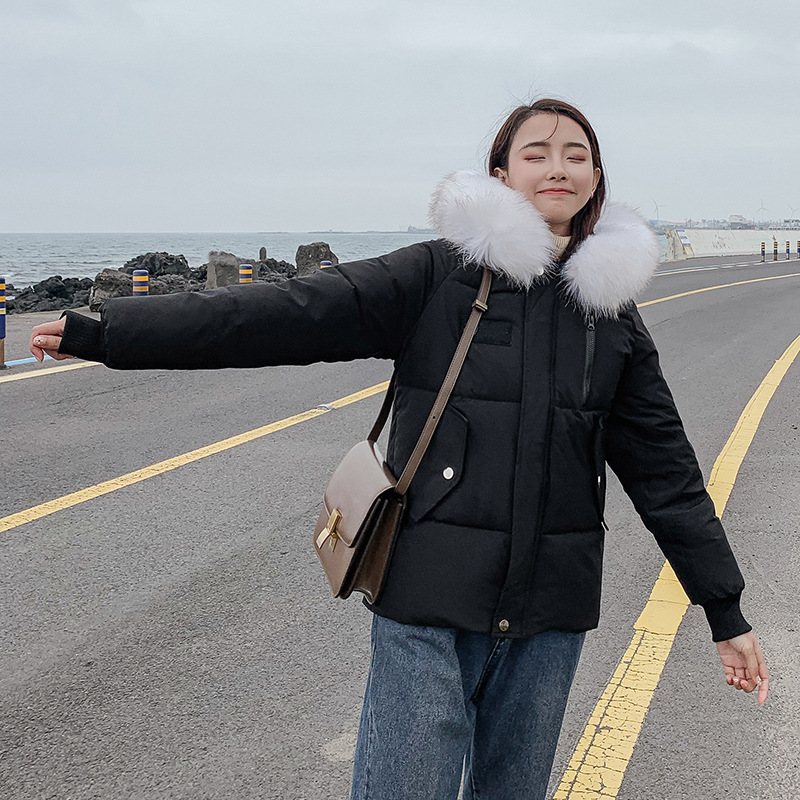 New Autumn Winter Coat Women's Top Down Cotton padded Jacket Black - Shop at LoveMi