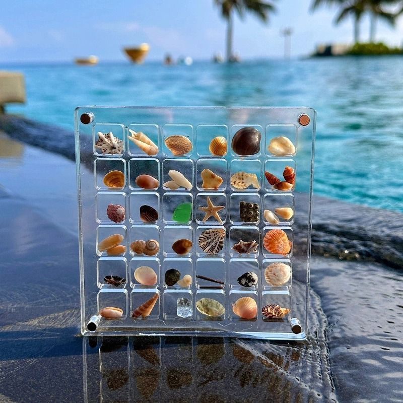 Seashore Stones And Small Shells Magnetic Storage Display Box